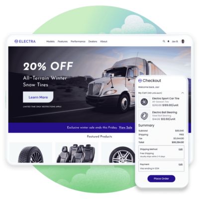 B2B Service Providers