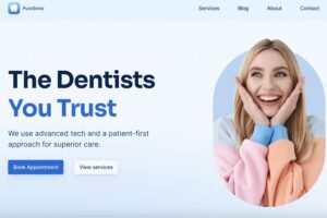 Why Dental Clinics Need a Professional WordPress Website to Attract More Patients